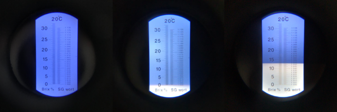 Ablesen der Werte auf einem Refraktometer beim Brauen.